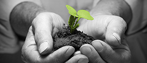 feature_commercial_law